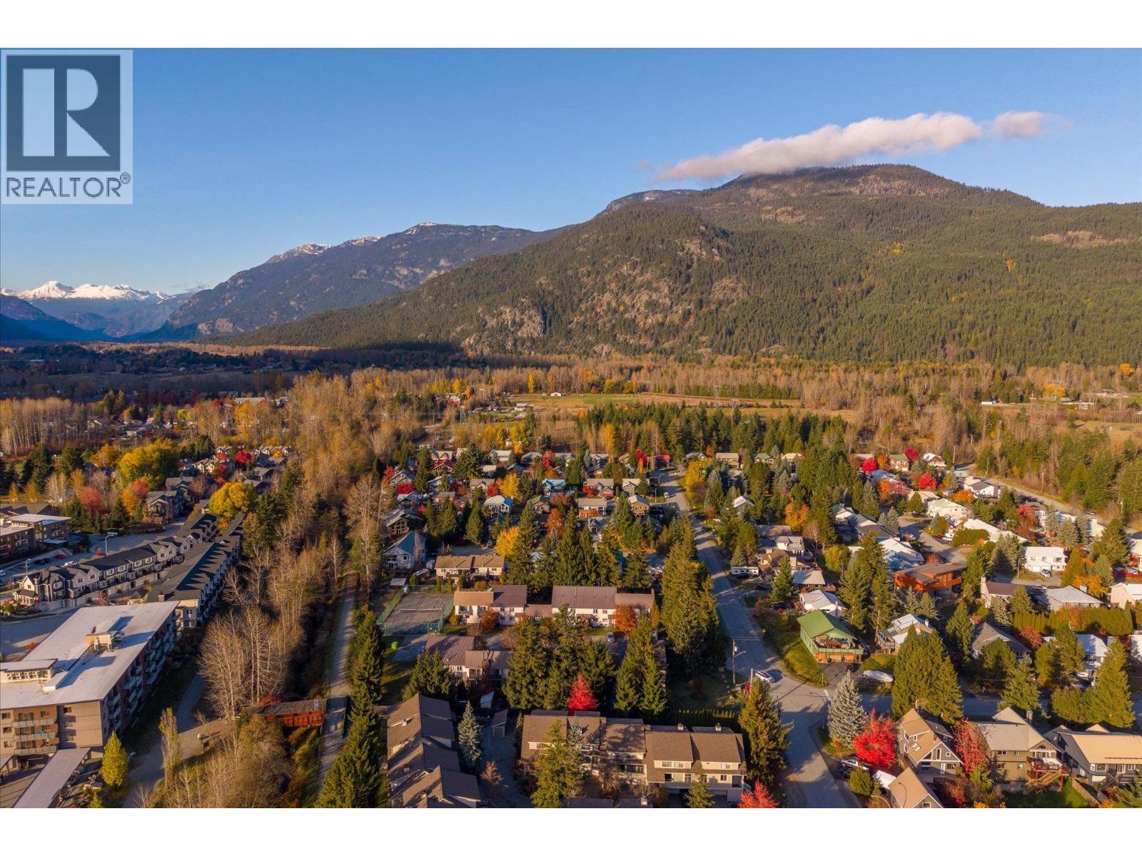 17 1470 LAUREL STREET, Pemberton