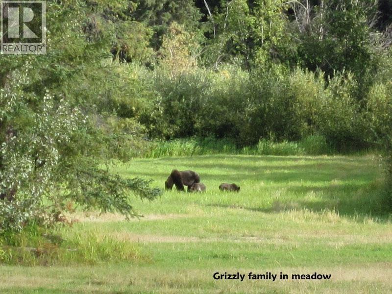 9000 TOTE ROAD, Hagensborg