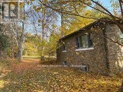 52 PROCTOR AVENUE - 7