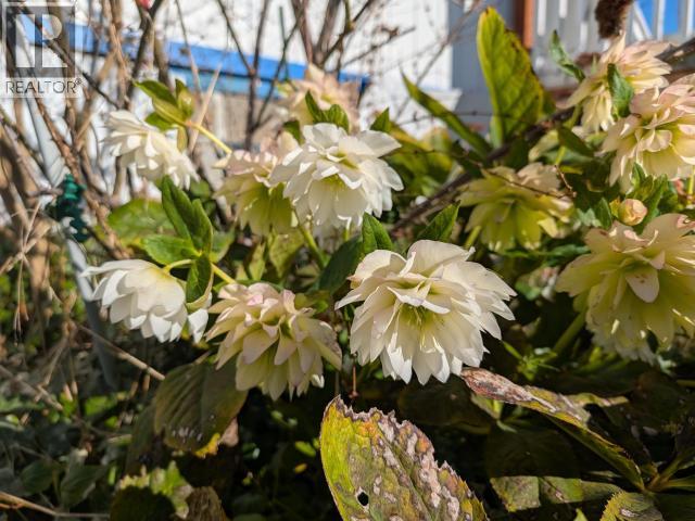 4649 CEDAR STREET, Texada Island