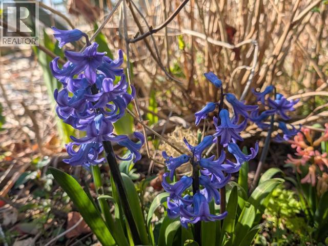 4649 CEDAR STREET, Texada Island