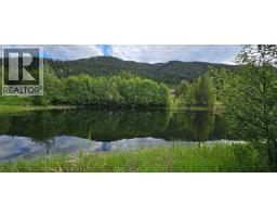 Laundry room - 12165 Highway 3, Greenwood, BC V0H1J0 Photo 6