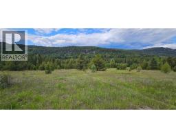 12165 Highway 3, Greenwood, BC V0H1J0 Photo 63