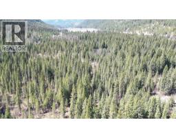 12165 Highway 3, Greenwood, BC V0H1J0 Photo 54