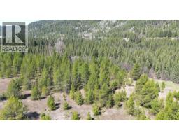 12165 Highway 3, Greenwood, BC V0H1J0 Photo 53