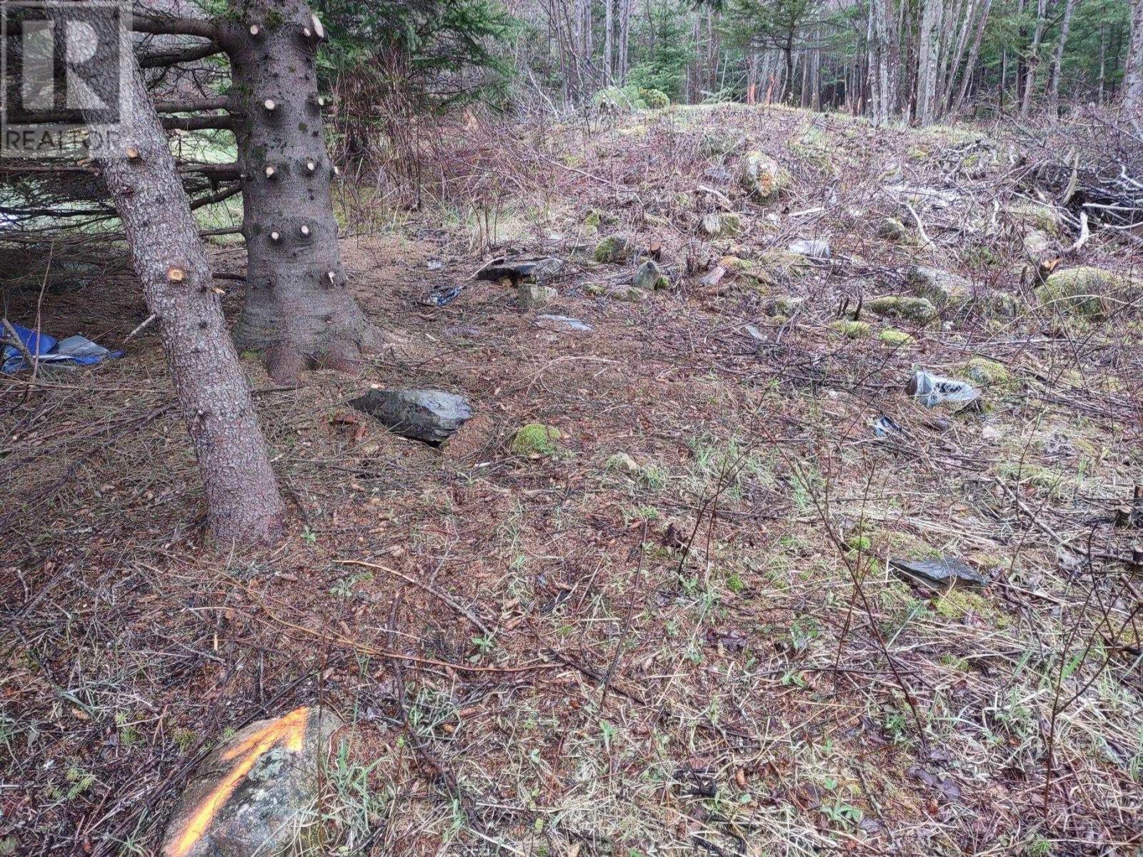 Property 14 of 17 of 1218 St Margarets Bay Road