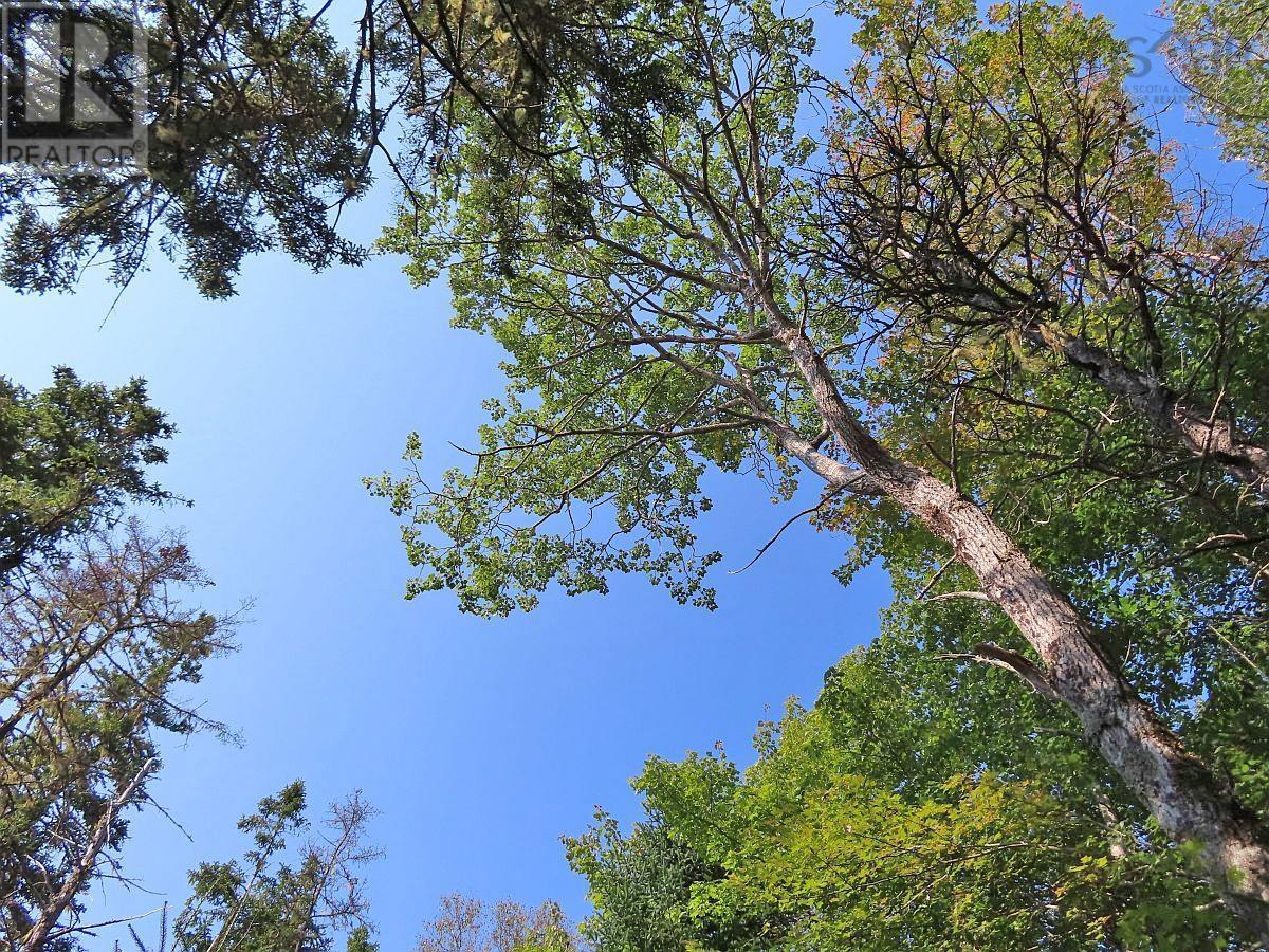 Property 12 of 32 of Lot 5 Basin Road