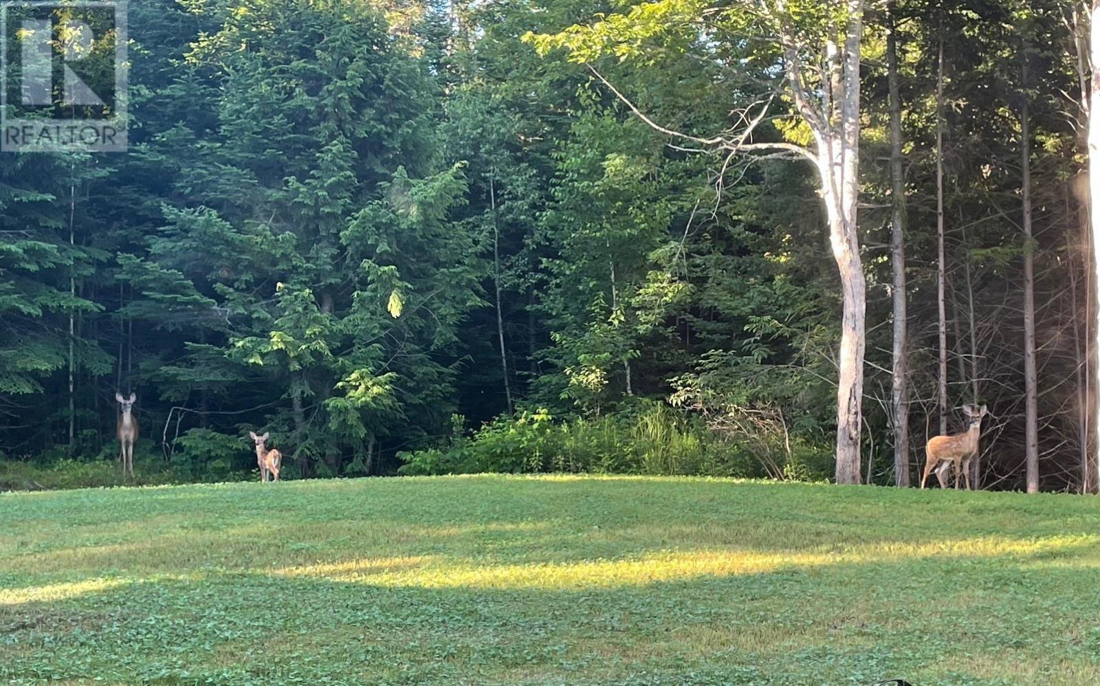 Property 11 of 44 of 649 Heron Road, Four Mile Brook Lot 2