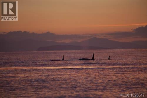 3720 Dolphin Dr, Nanoose Bay