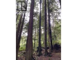 1 1st St, Sointula, BC V0N3E0 Photo 12