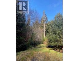 1 1st St, Sointula, BC V0N3E0 Photo 15