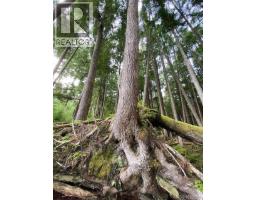 1 1st St, Sointula, BC V0N3E0 Photo 13