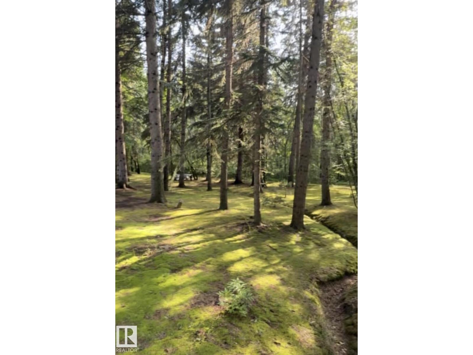 14 Wedgewood CR NW NW, Edmonton