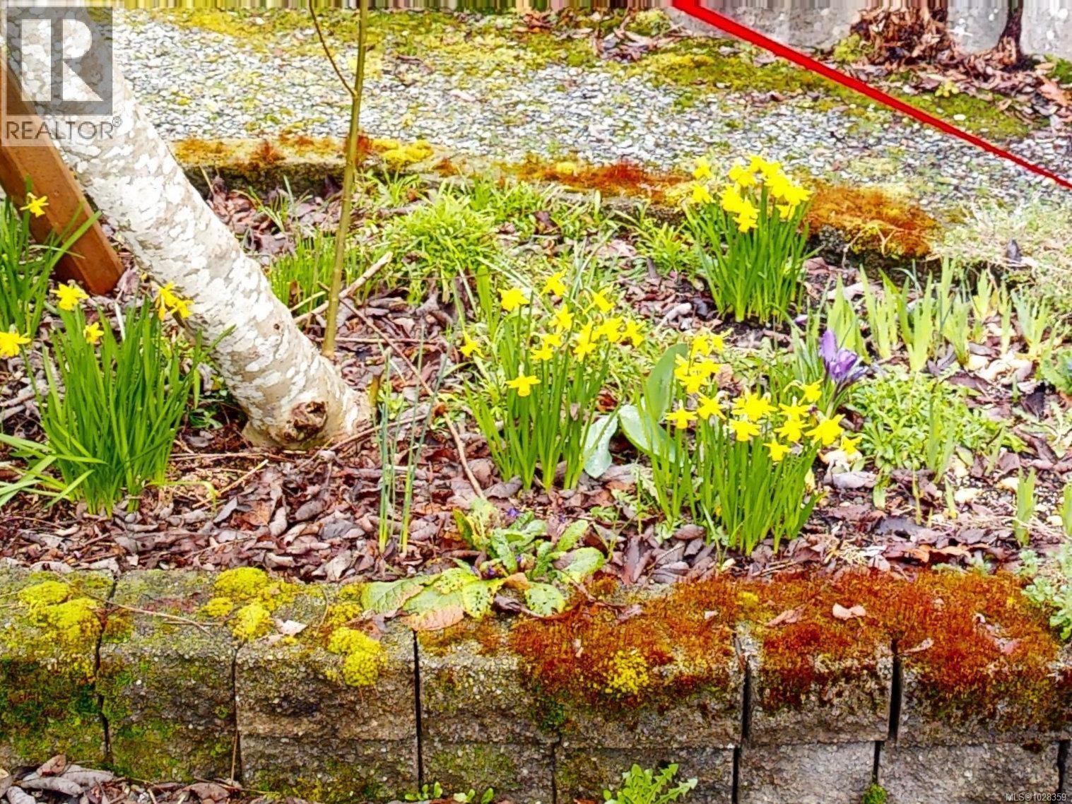  1607 Marshalls Place, Sooke