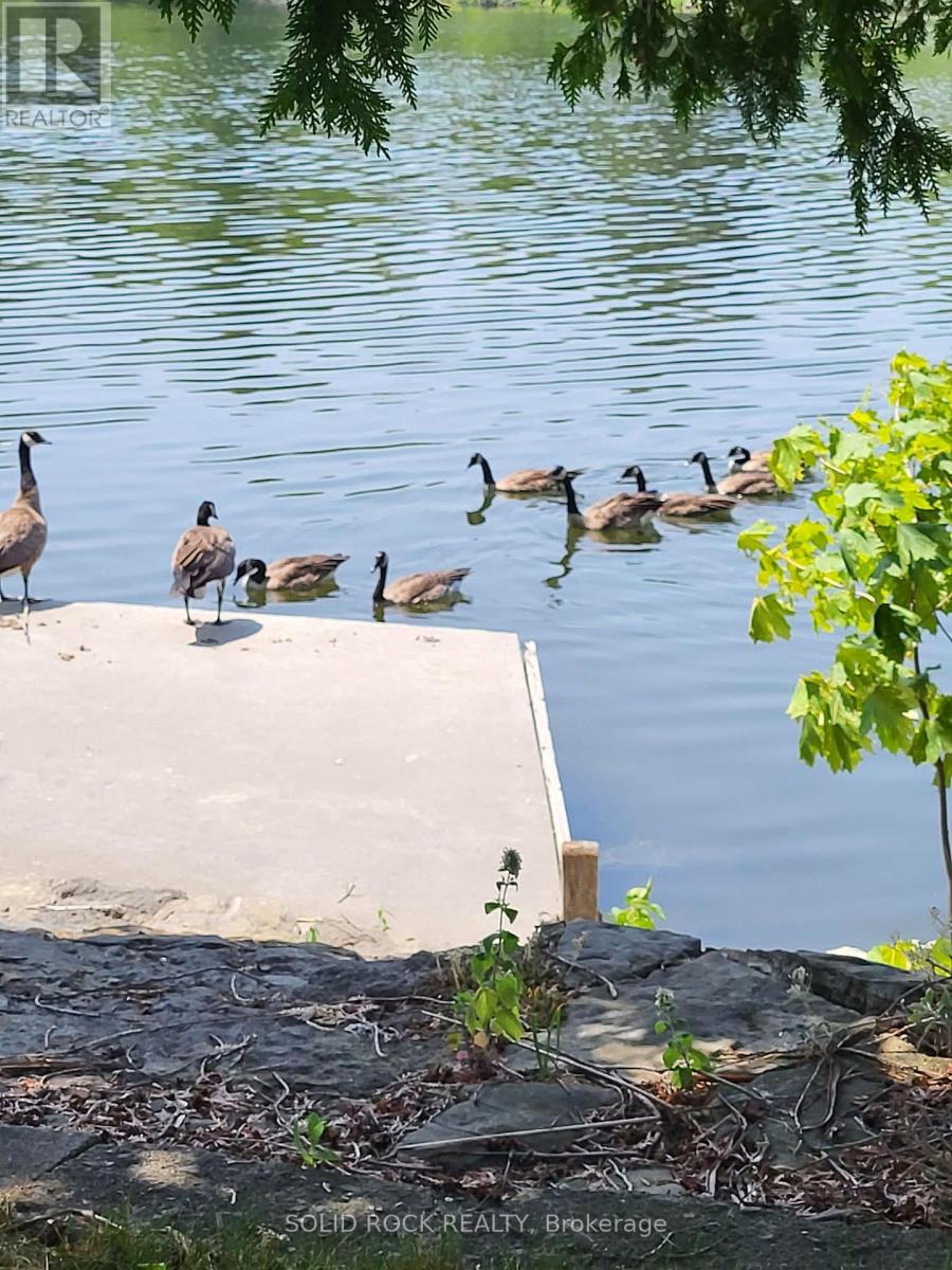 Permanent concrete dock
