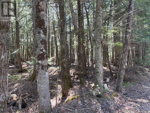 Property 5 of 9 of Lot 1 Arrowhead Drive