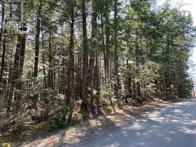 Property 2 of 9 of Lot 1 Arrowhead Drive