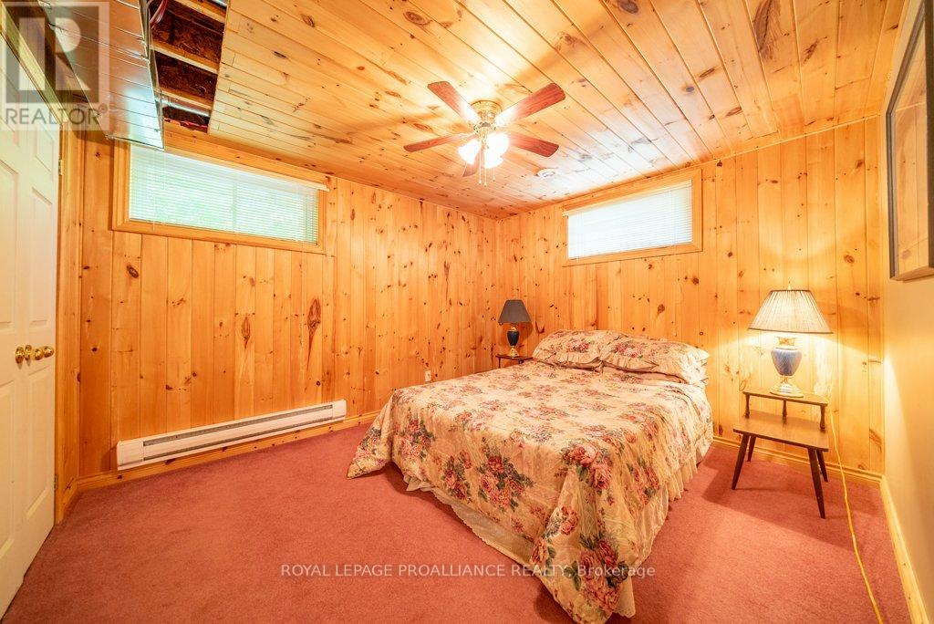 Lower level bedroom 1