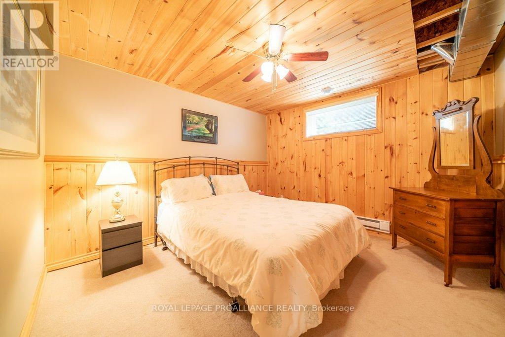 Lower level bedroom 2