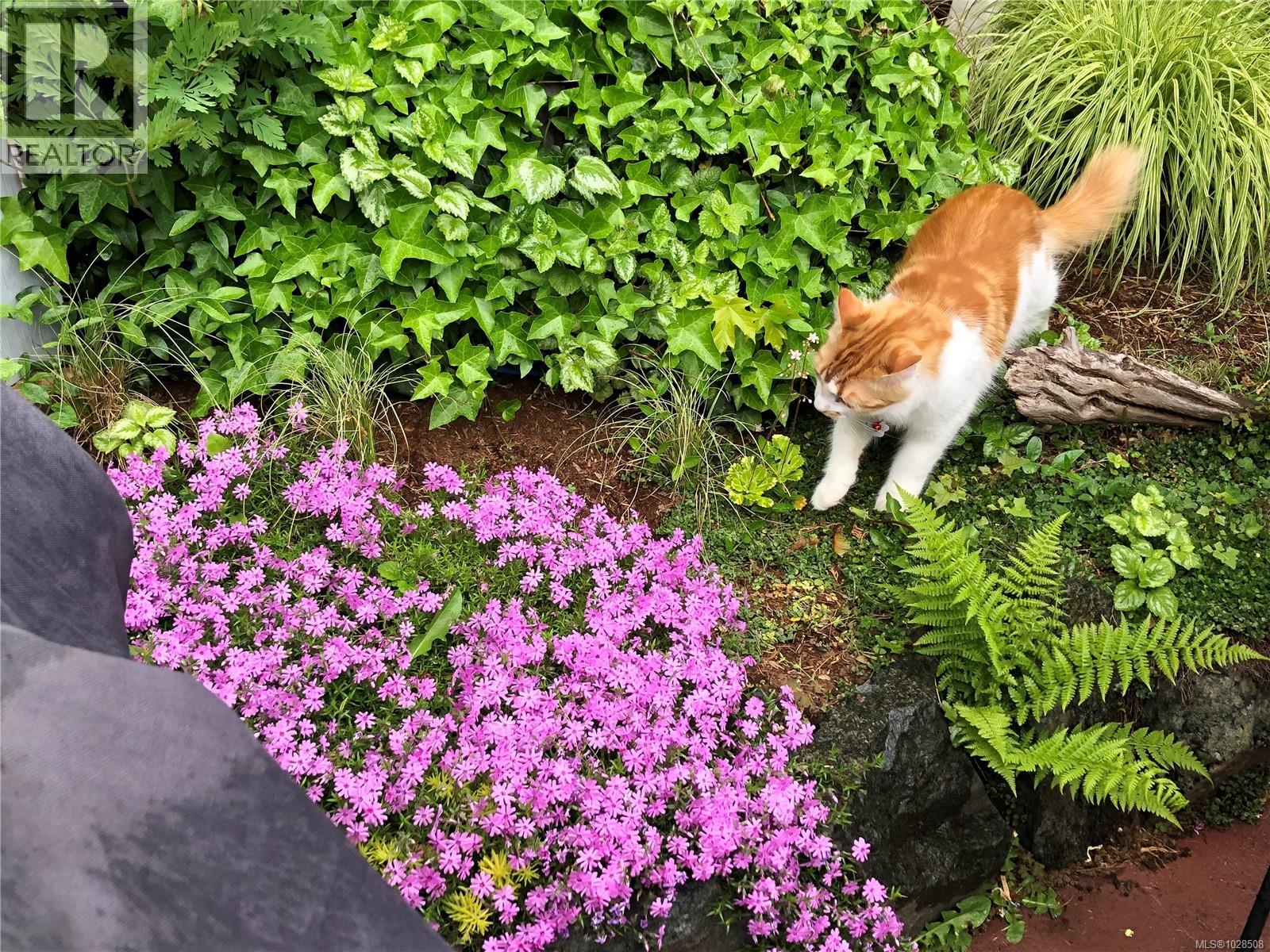 3580 OYSTER WAY RD - 38