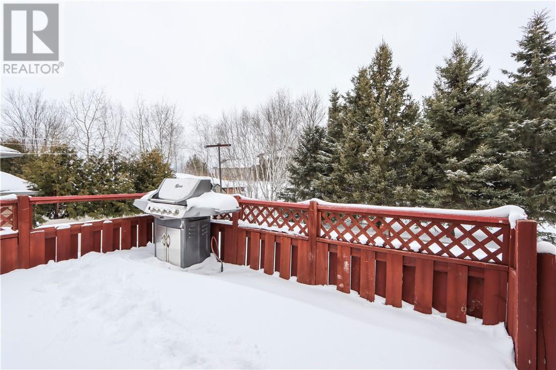 670 Moonrock Avenue, Sudbury, Ontario, P3E5Z6 — Photo 73