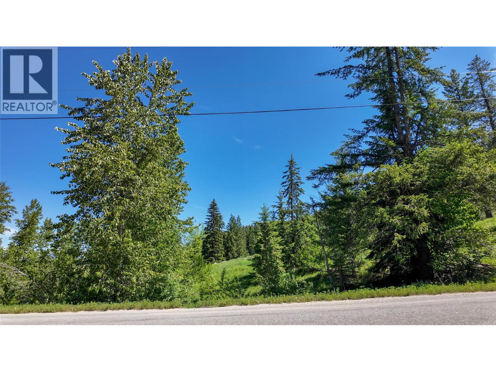  3923 OLD RED MOUNTAIN Road, Rossland