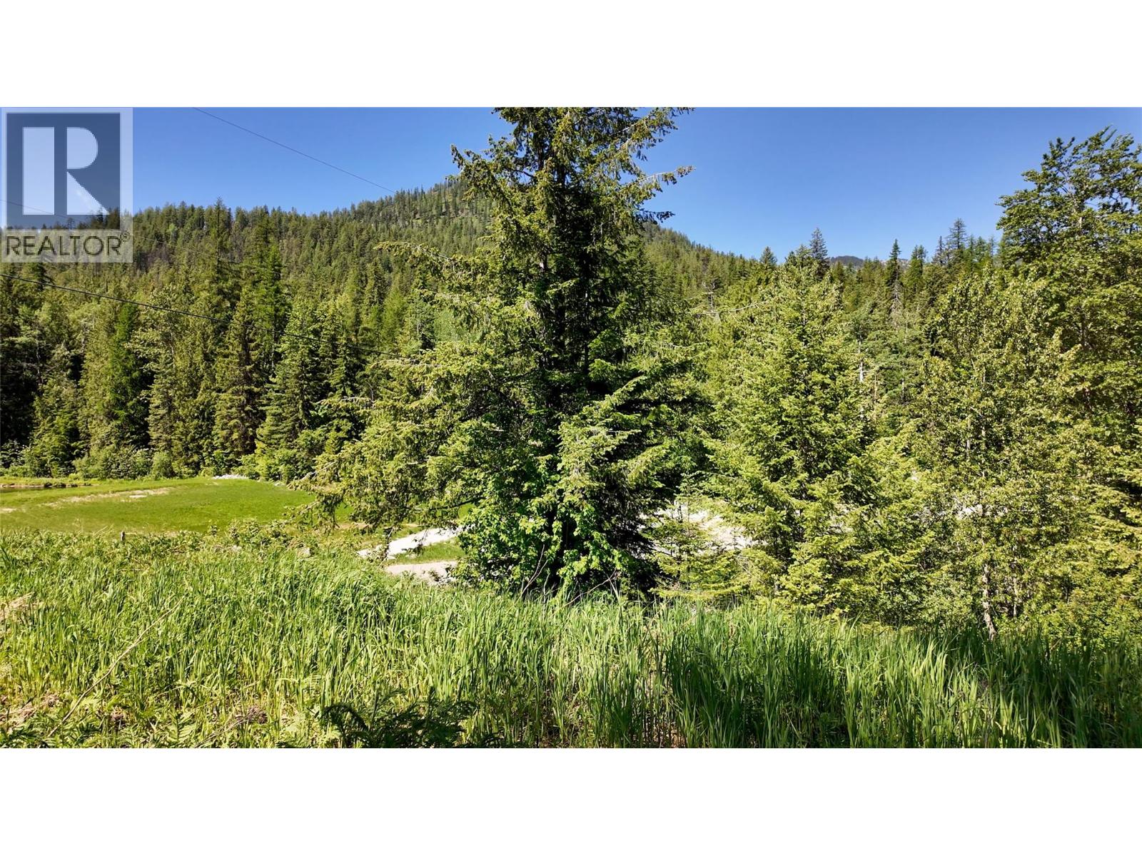  3923 OLD RED MOUNTAIN Road, Rossland