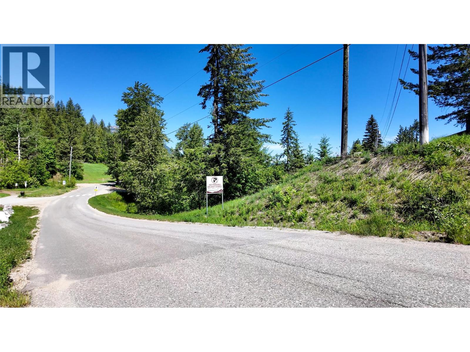  3923 OLD RED MOUNTAIN Road, Rossland