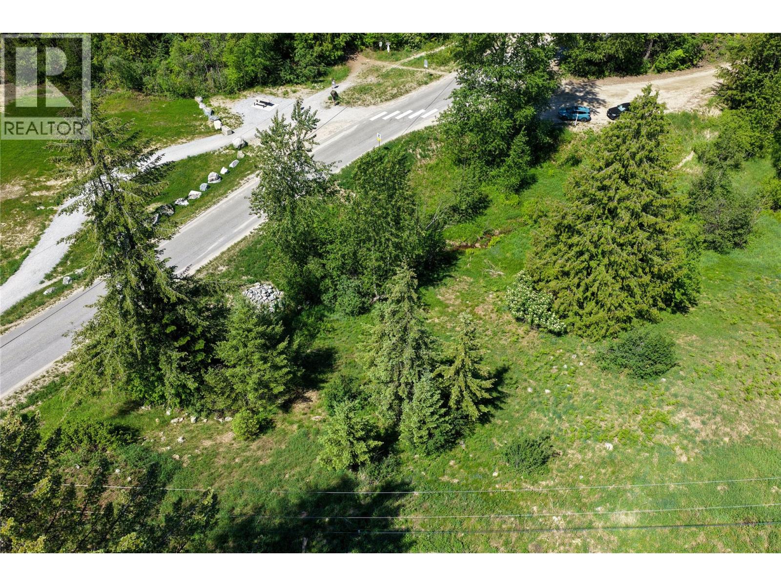  3923 OLD RED MOUNTAIN Road, Rossland