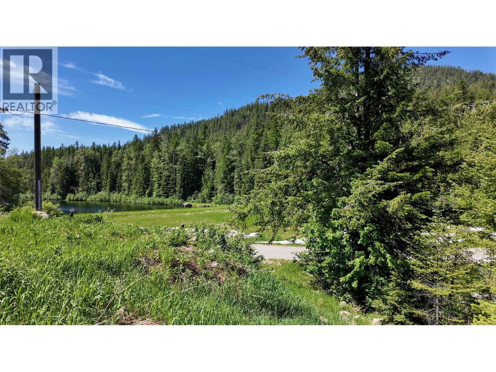  3923 OLD RED MOUNTAIN Road, Rossland