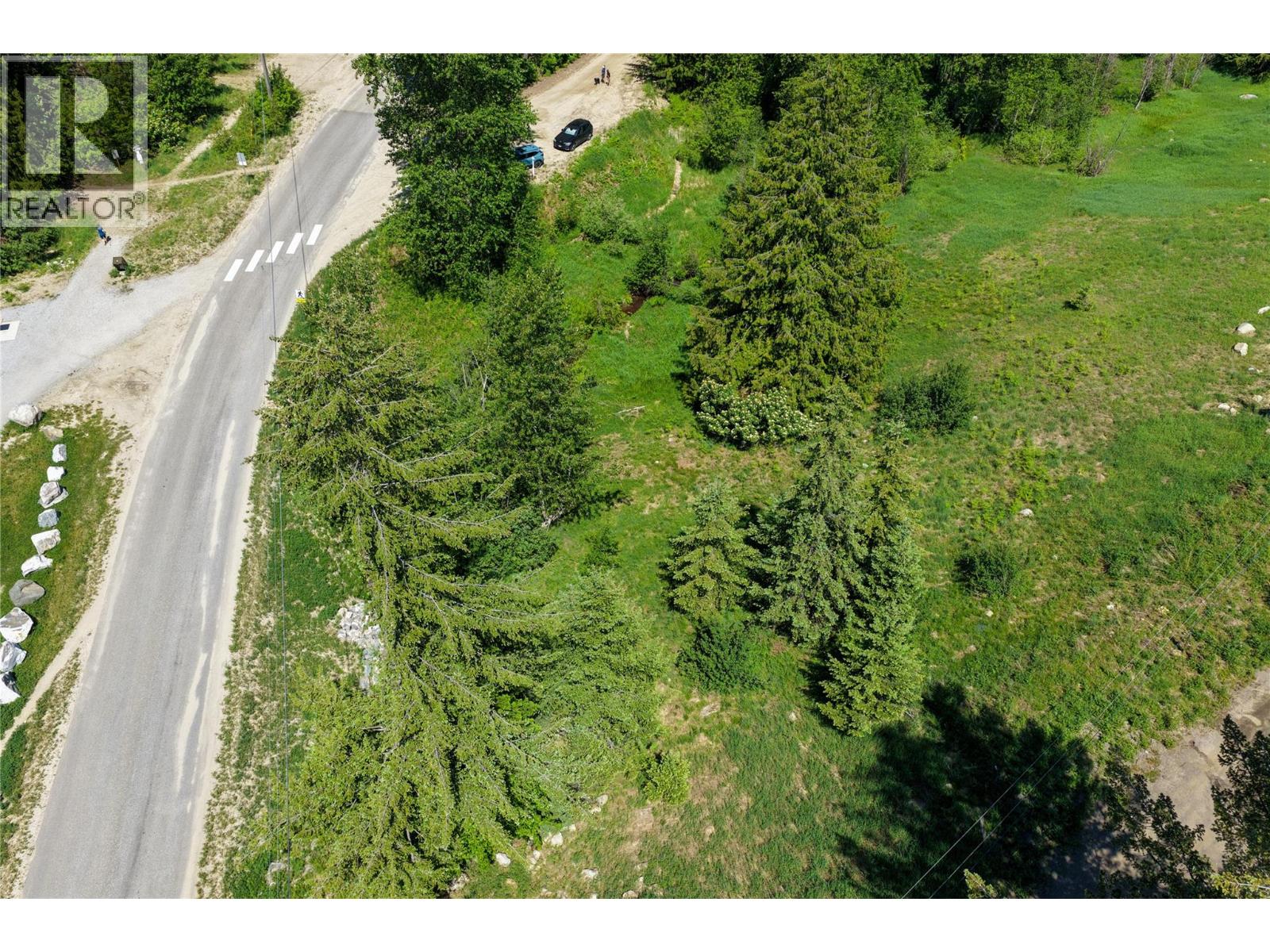  3923 OLD RED MOUNTAIN Road, Rossland