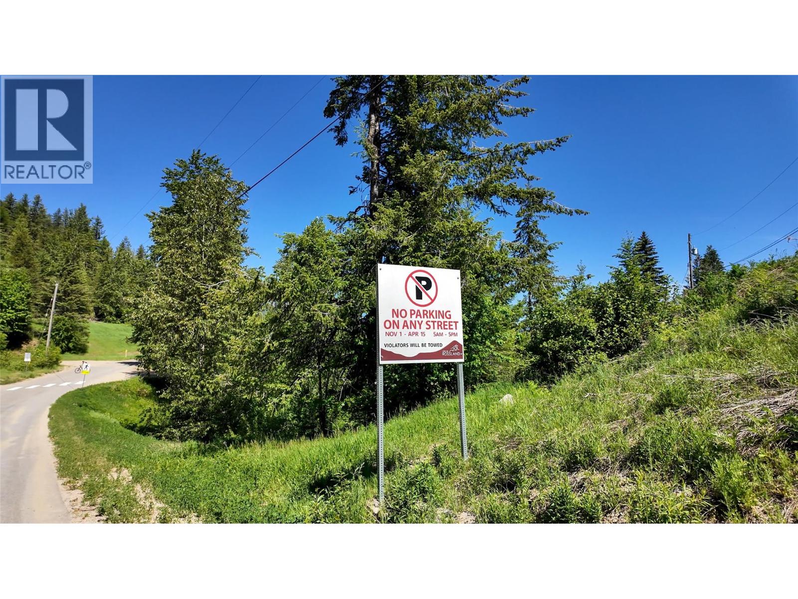  3923 OLD RED MOUNTAIN Road, Rossland