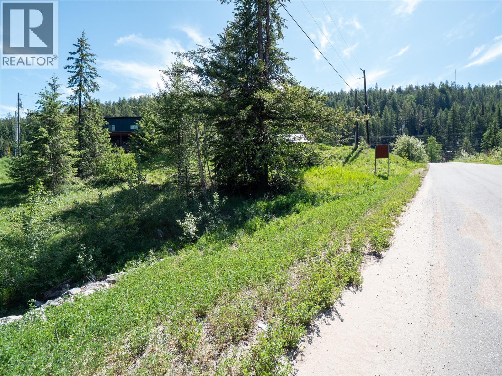  3923 OLD RED MOUNTAIN Road, Rossland