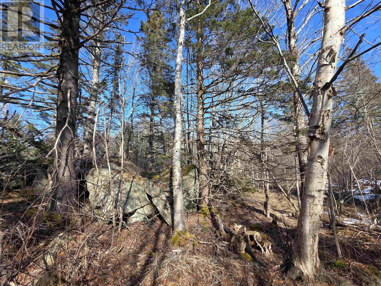 Property 31 of 49 of 659 Eastern Shore Road