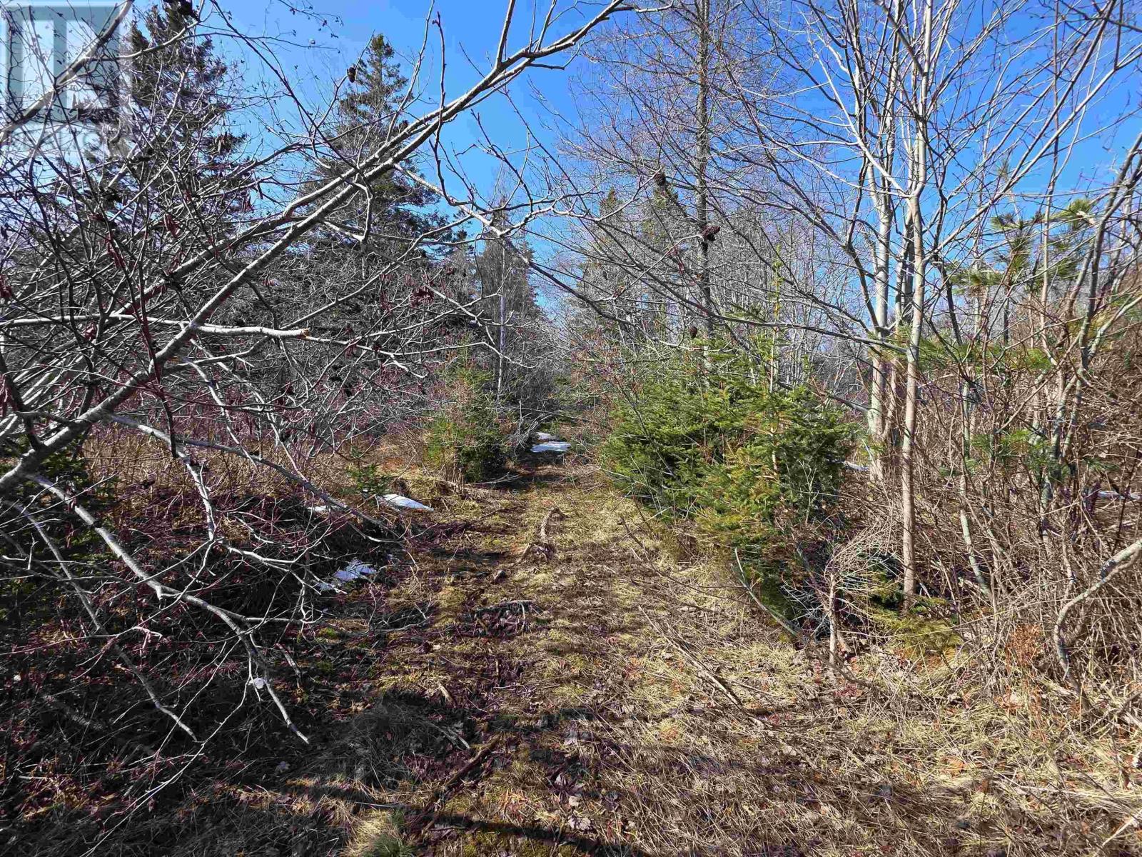 Property 20 of 49 of 659 Eastern Shore Road