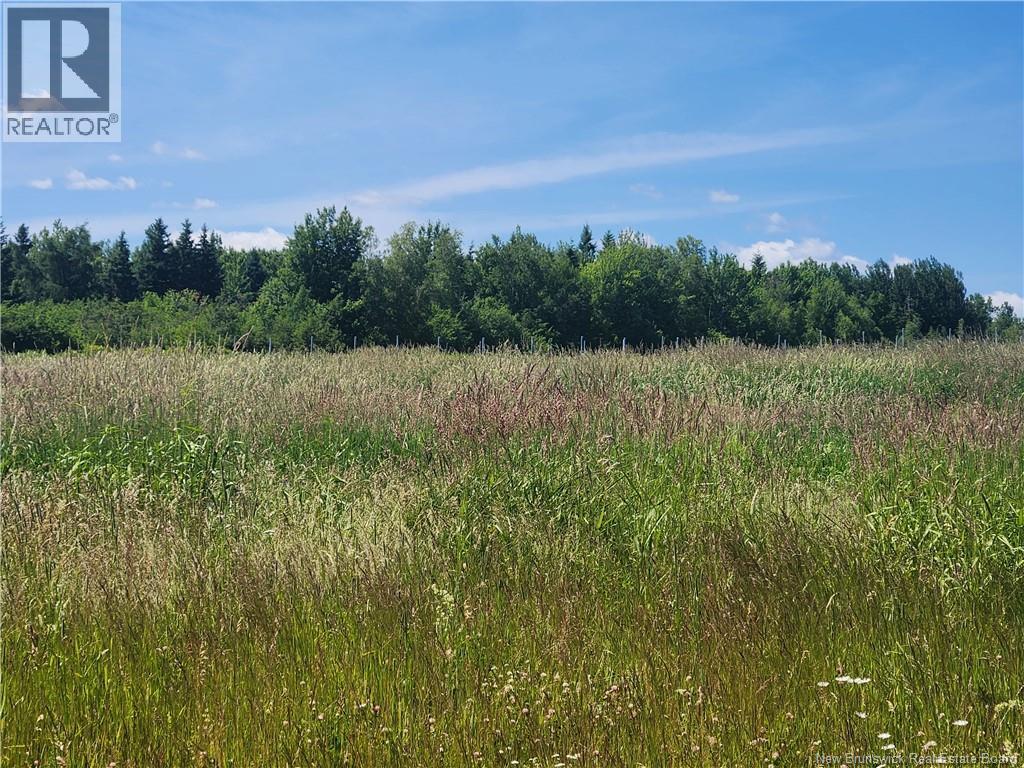 371 ROUTE 535 - Image 10