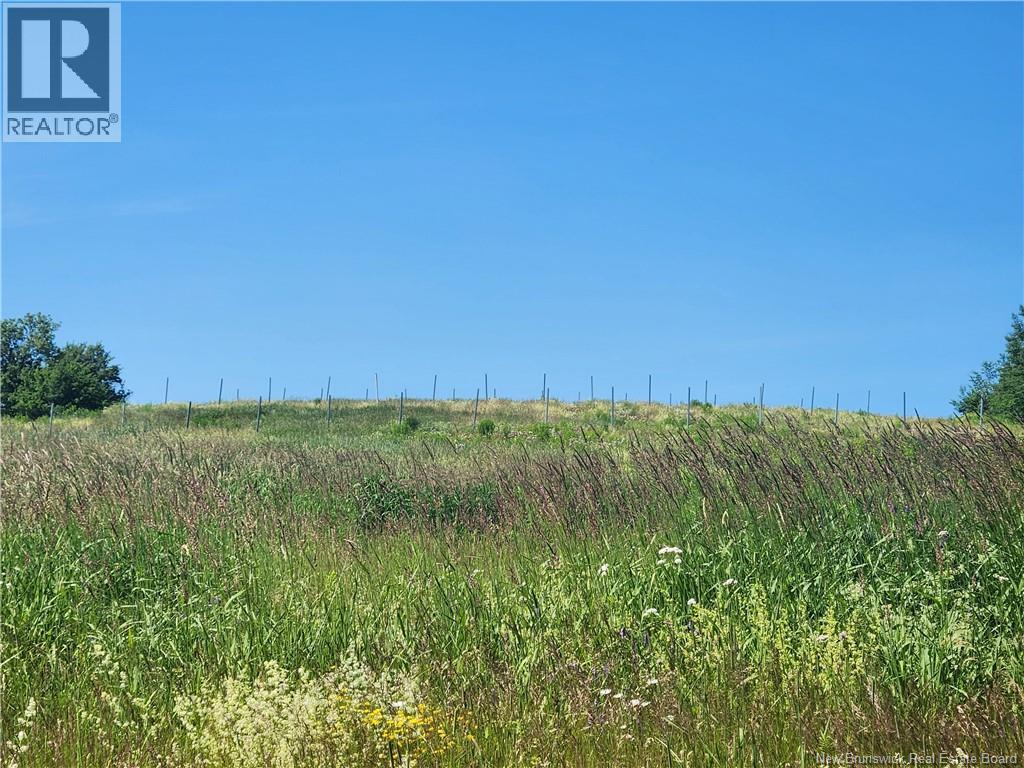 371 ROUTE 535 - Image 11