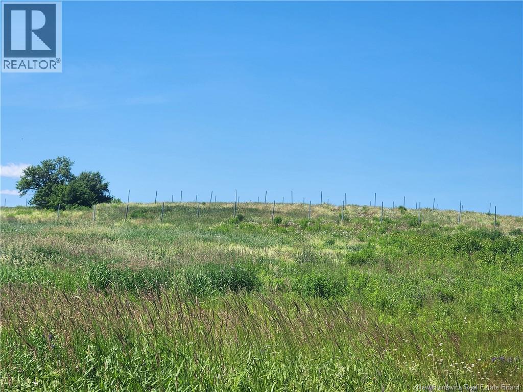 371 ROUTE 535 - Image 12