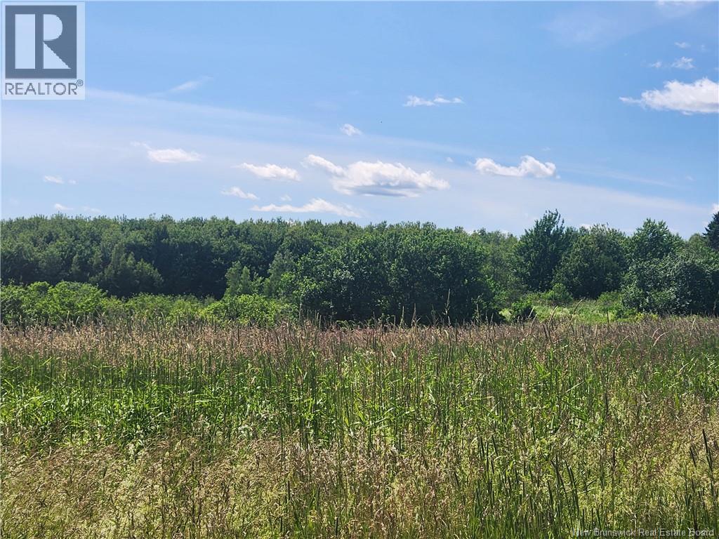 371 ROUTE 535 - Image 13