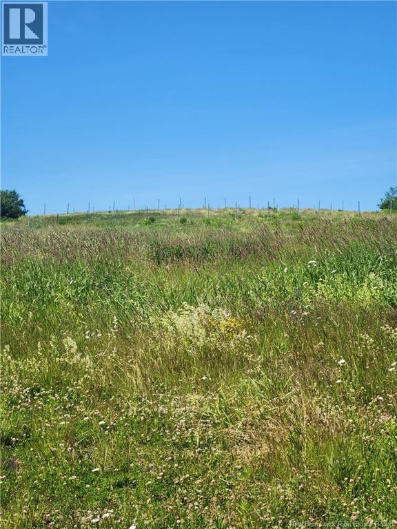 371 ROUTE 535 - Image 19