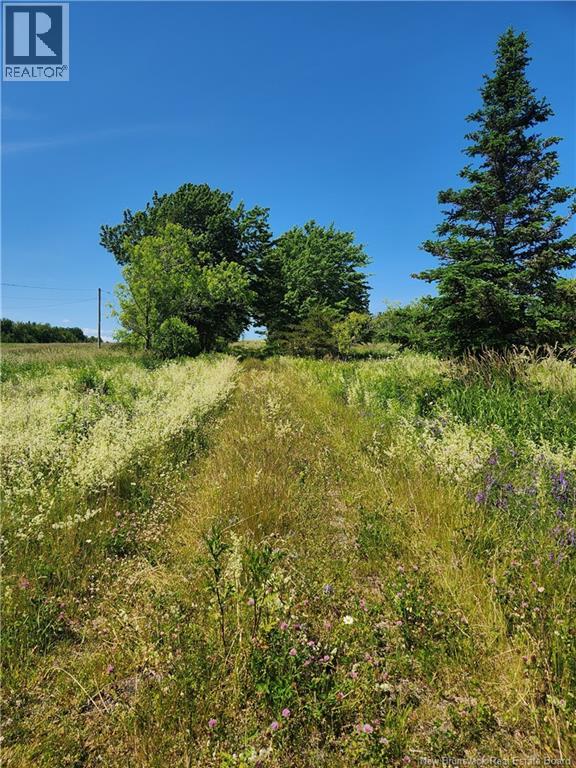 371 ROUTE 535 - Image 3