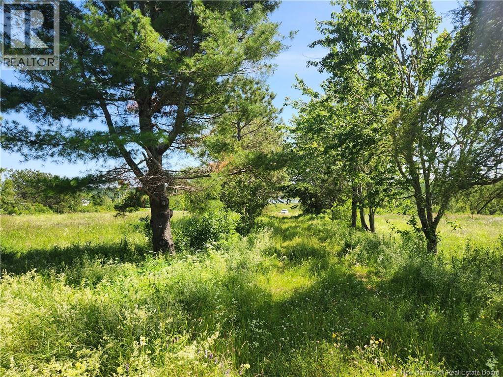 371 ROUTE 535 - Image 9