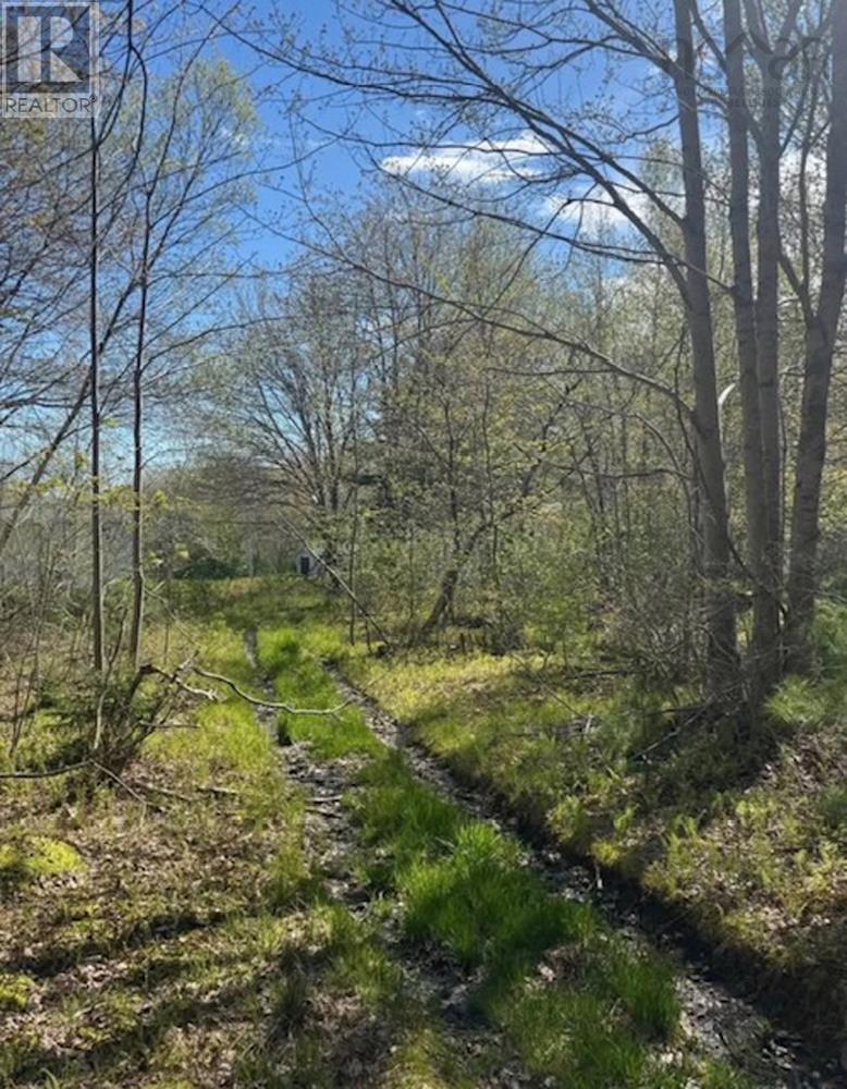 Property 2 of 6 of James Street