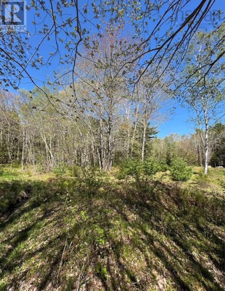 Property 4 of 6 of James Street