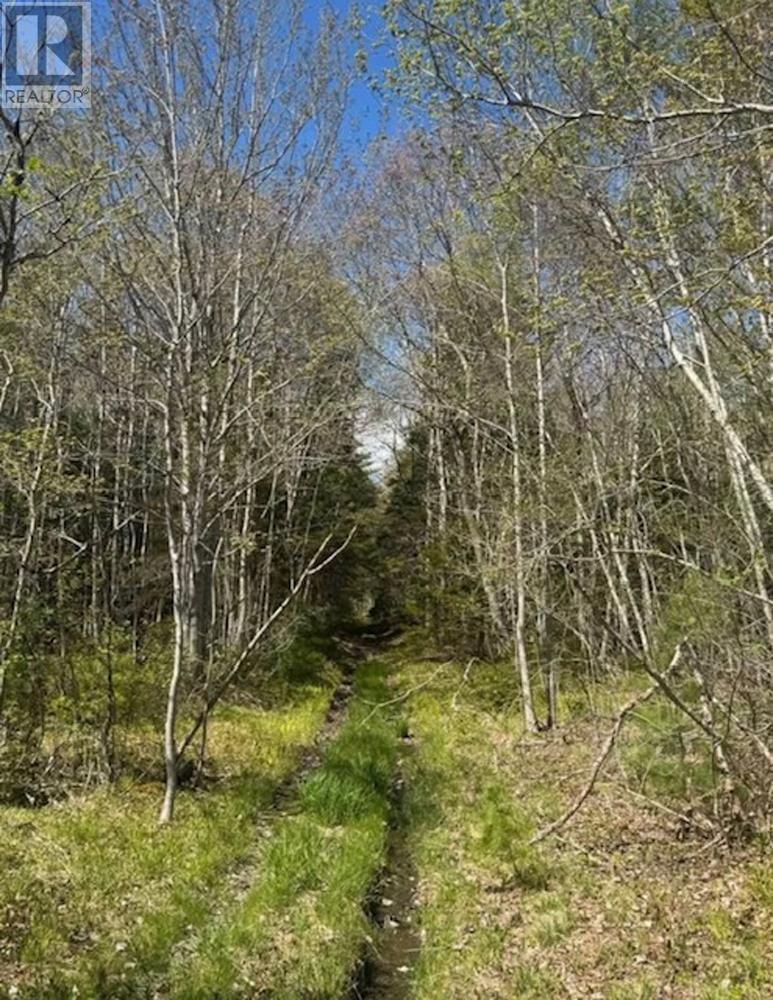 Property photo of James Street