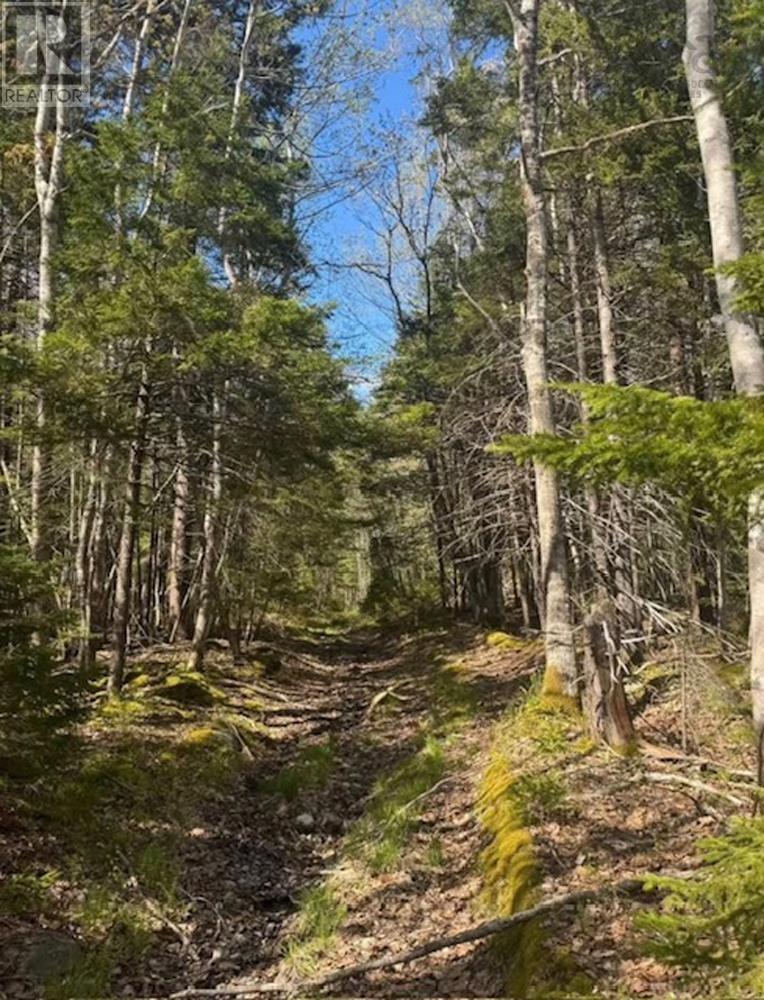 Property 3 of 6 of James Street