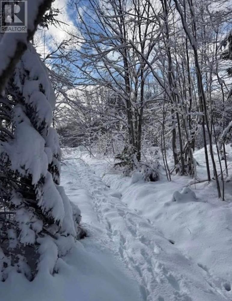 Property 5 of 6 of James Street