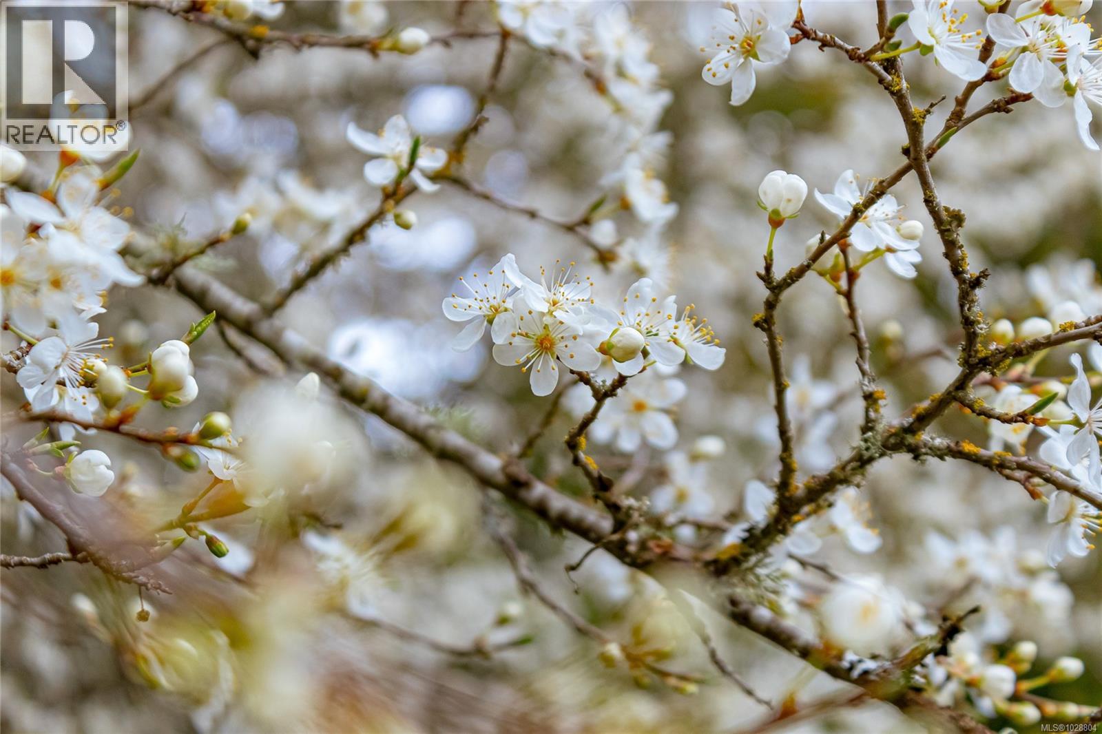 1459 SUNRISE DR - 45