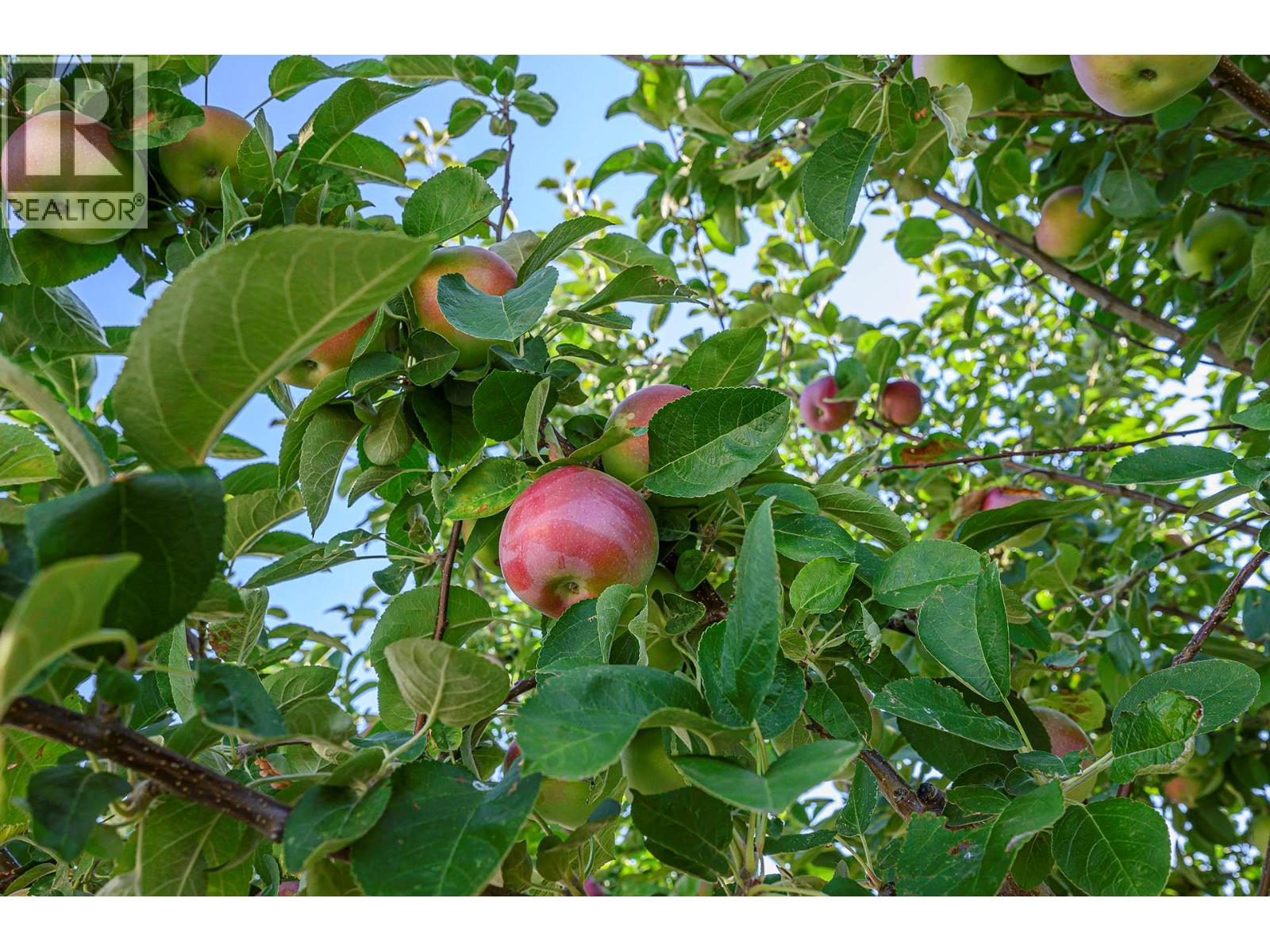 979 Linthorpe Road, Kamloops