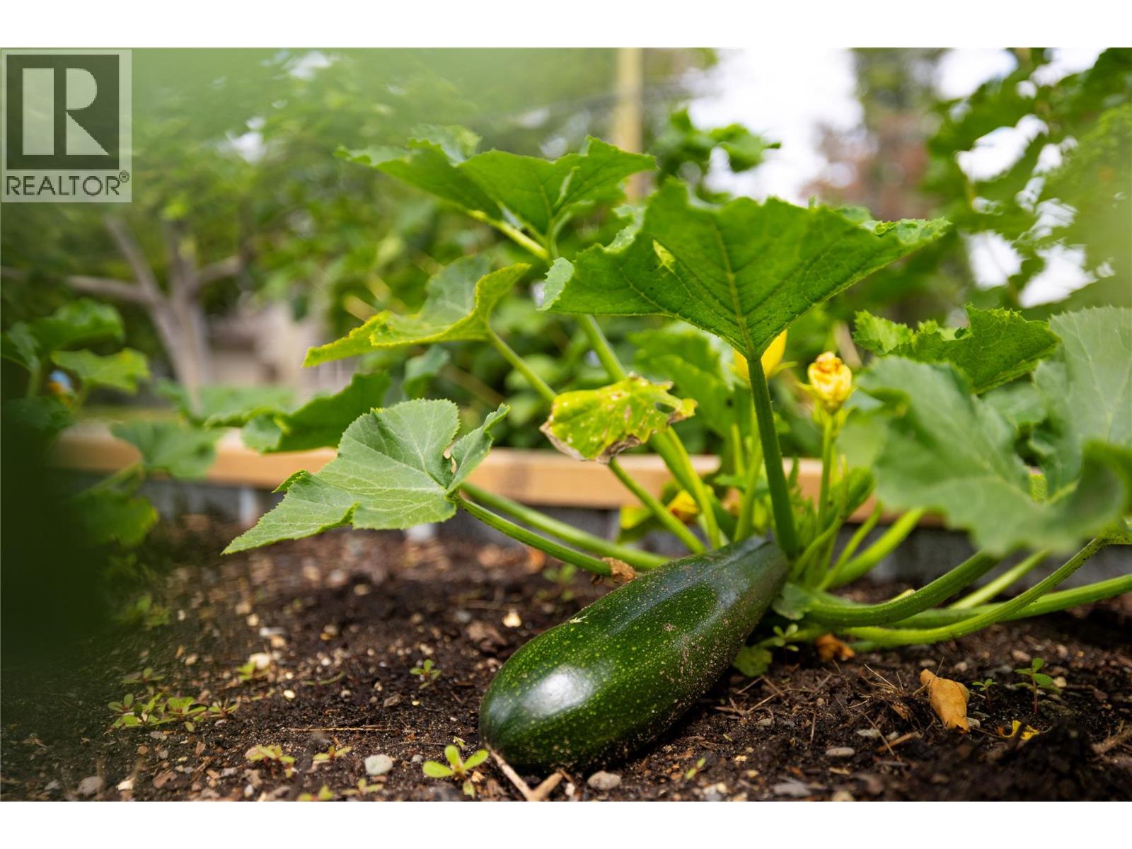 3405 16 Street, Vernon